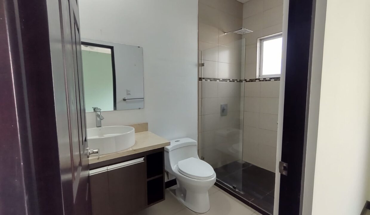 fe0f2c56-4838-4f27-803a-55234a1f5468