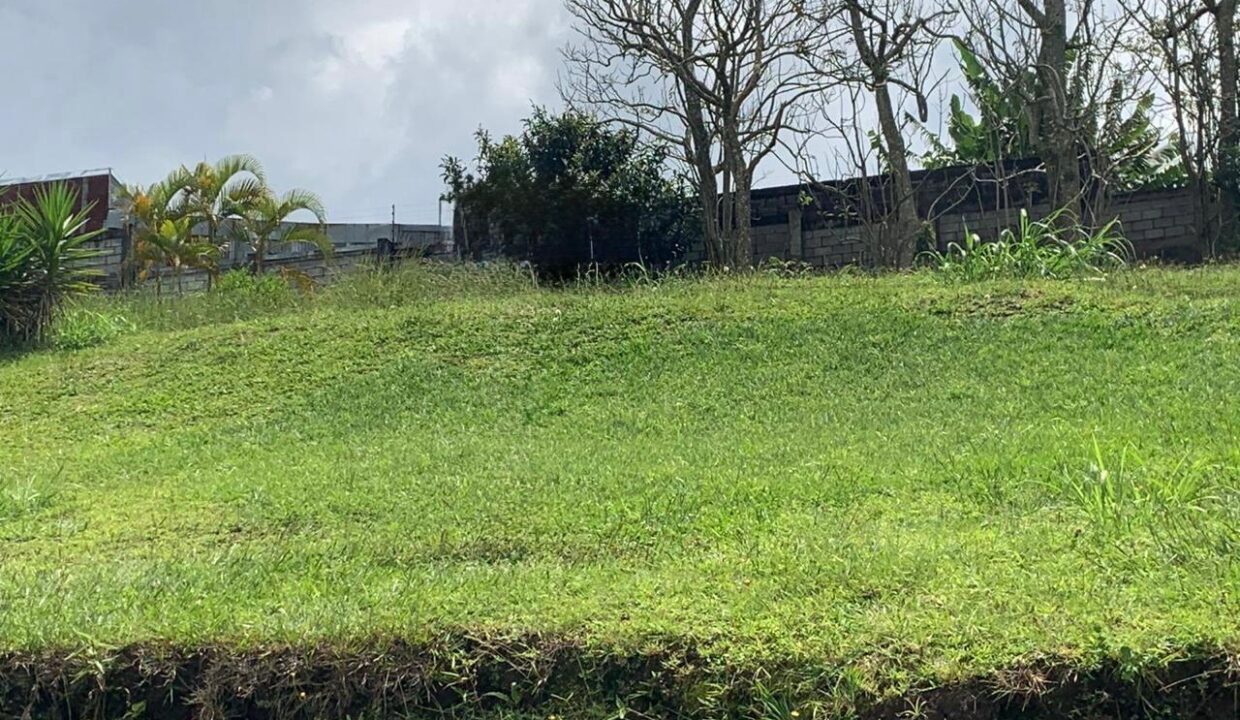 80dacf47-d5a2-4c93-8ace-32ec2cfb15d5