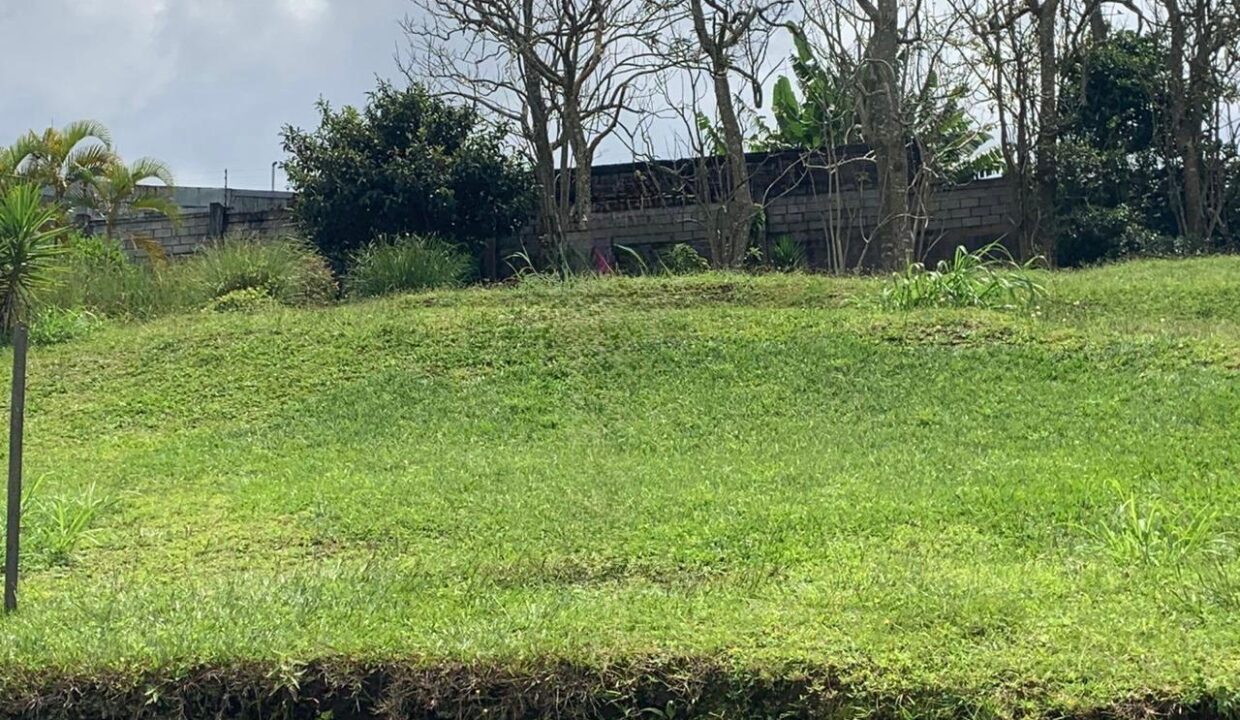 9dc5d6f1-4f0e-46c1-bed5-46e377876ef2